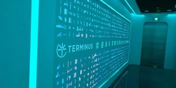 走進特斯聯(lián)，領略萬物互聯(lián)新時代